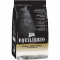 Equilibrio Gatos Persas
